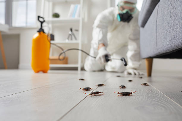 Trusted Cockroach Control service in Margate City, NJ - Nex Pest Control