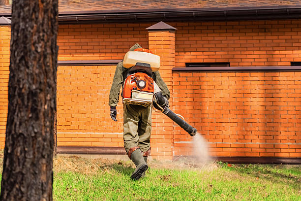 Trusted Rodent Control service in Margate City, NJ - Nex Pest Control